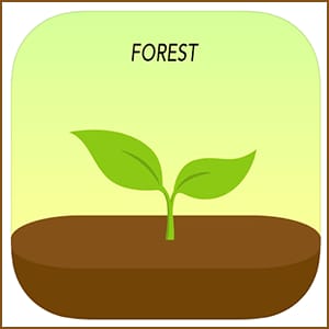 Forest - Aapka Focus Partner